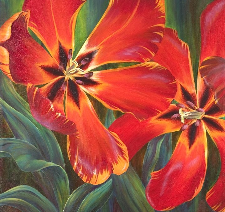 Dance of the Tulips