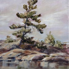 Georgian Bay Pine