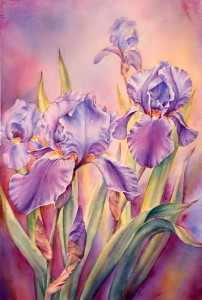 Irises at Dawn