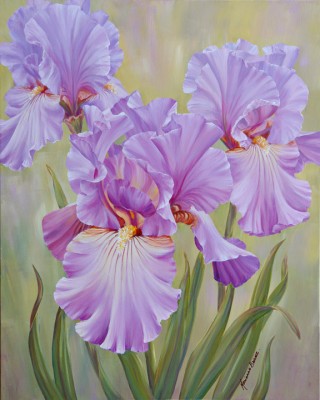 Mauve Irises