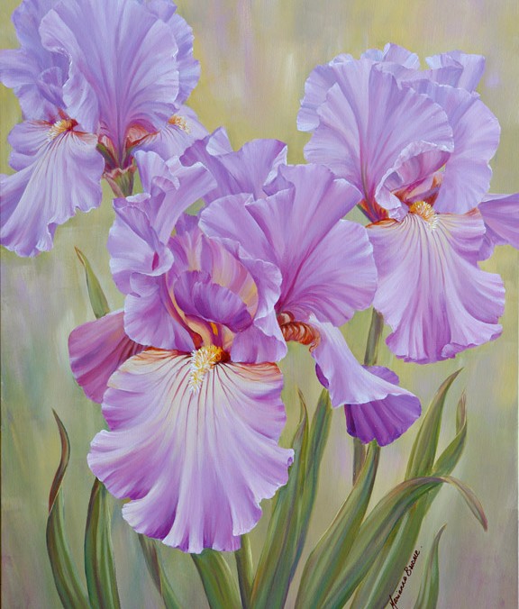 Mauve Irises