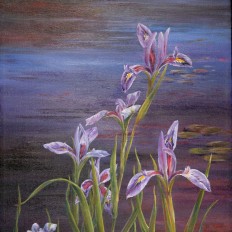Pond Irises
