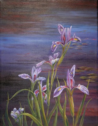 Pond Irises