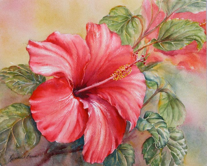 Red Hibiscus II