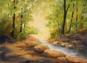 Stream in the Woods