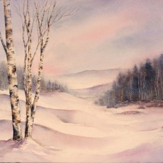 Winter Birches II