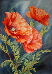 Poppies In The Wind